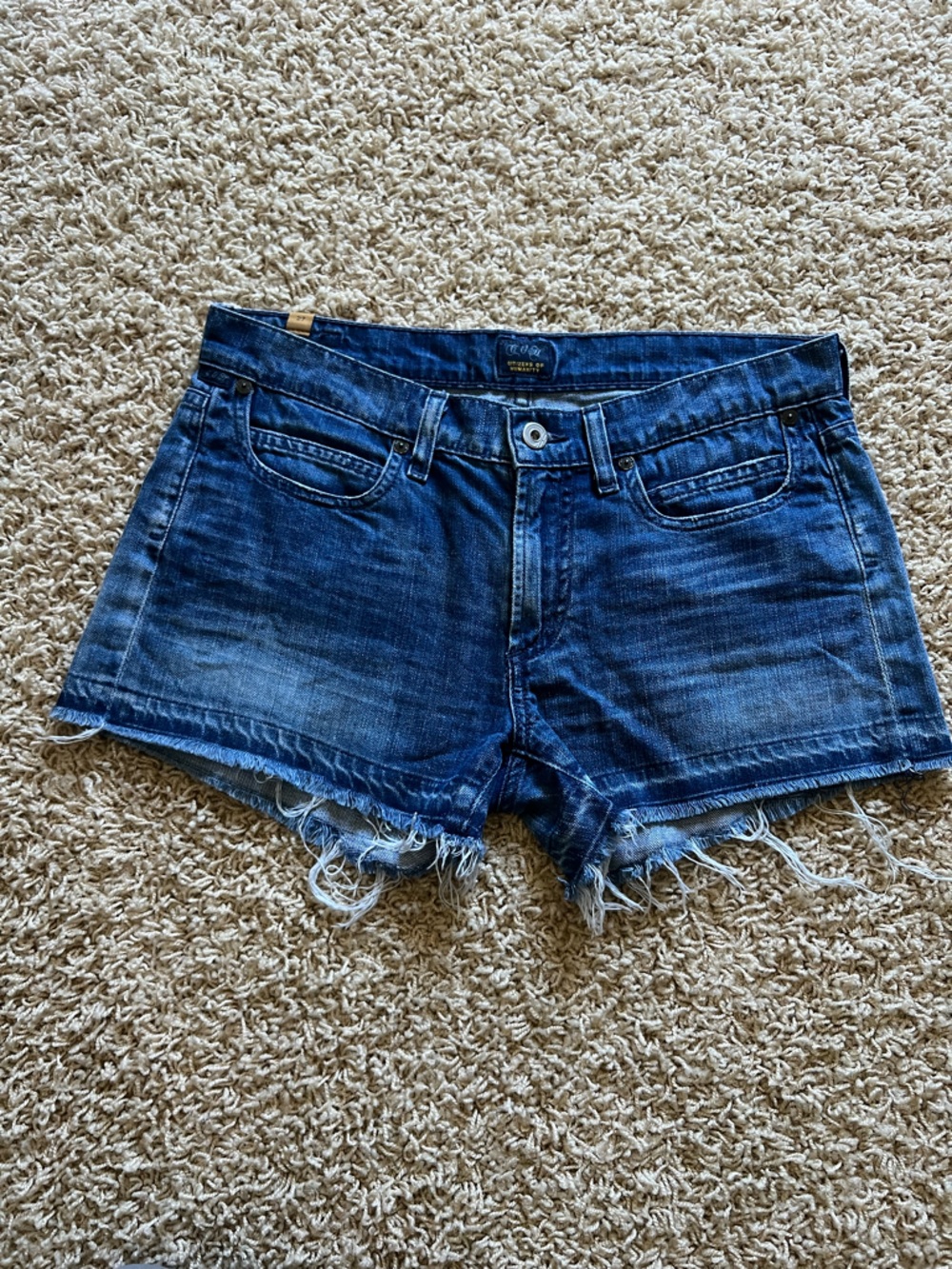 Women’s Citizens of Humanity Distressed Denim Shorts Size 27